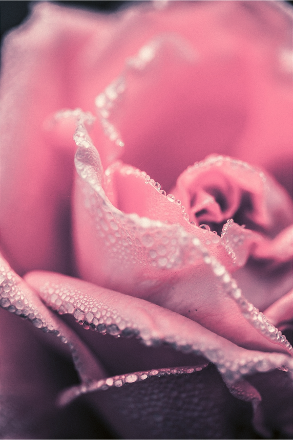 La sexothérapie ?... Mais qu'est-ce que c'est ? 