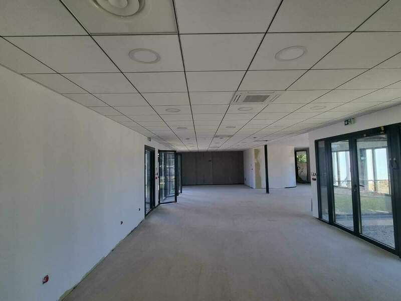 whatsapp_image_2023-08-10_a_16-32-24_de8a06ab