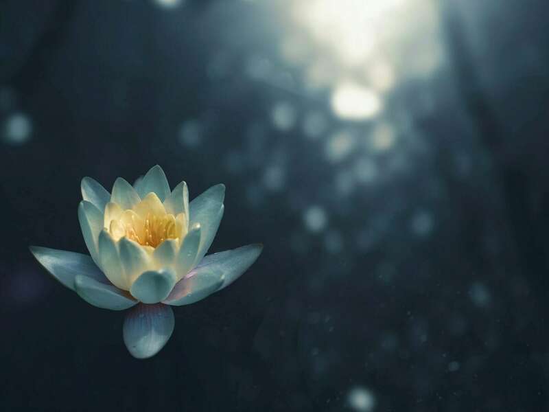 proxy-e29e0c24e93a49398f9c3bc1da0a5ef9-og20250116-2958415-12q6i07