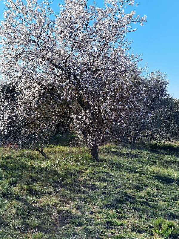 Le printemps arrive!
