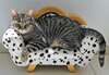 chat