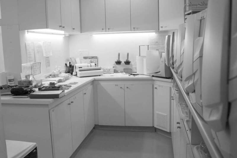 kzicz3upxk_1597728422