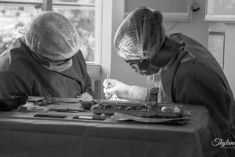 riurrckx65_1597728467