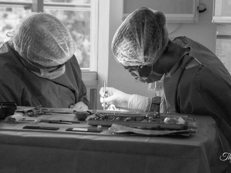 riurrckx65_1597728467