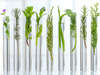 Naturopathie
