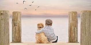 La médiation animale utilisée pour la psychothérapie