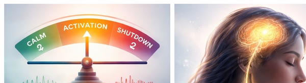 Qu'est-ce que la théorie polyvagale (TPV) ?