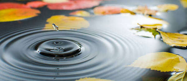  Qu'est-ce que le modèle polyvagal du sens corporel ?