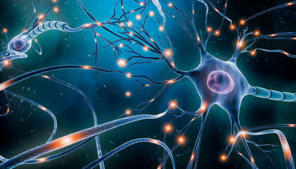 Des liens intéressants entre ACP et neurosciences
