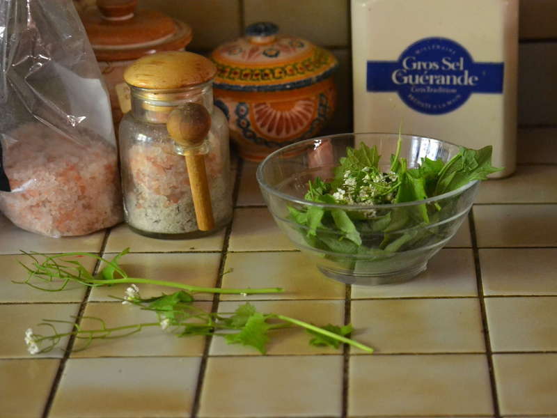 Recette plantes sauvages et comestibles