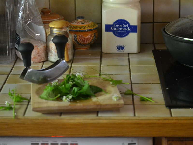 Recette plantes sauvages