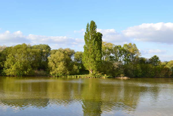 En Avril ne te découvre pas d'un fil