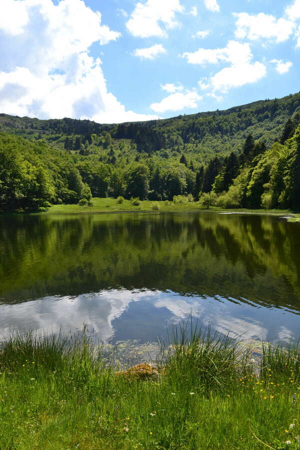 Voyage au coeur de vos ressentis