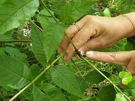 facebook_1592295757194_6678572463583785099