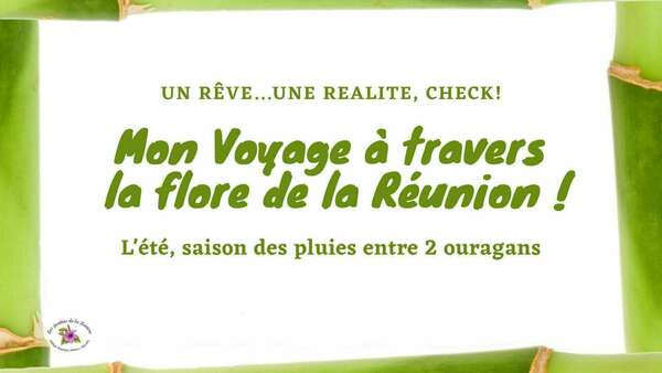 Voyage à travers la flore de l'île de la Réunion
