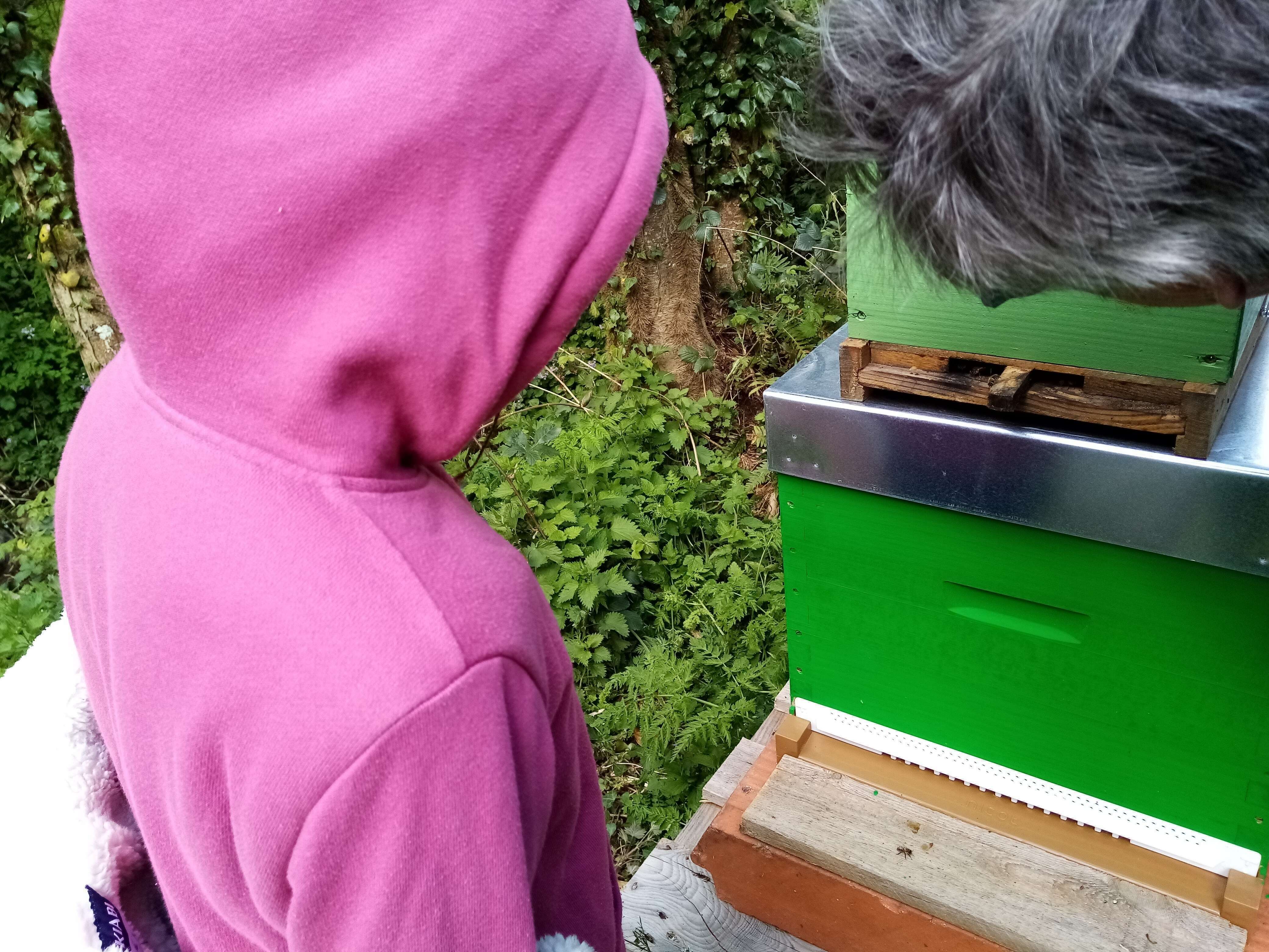 Partage d'émotions avec ses petits enfants autour de la ruche