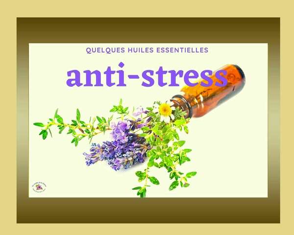 3 huiles essentielles en synergie anti stress