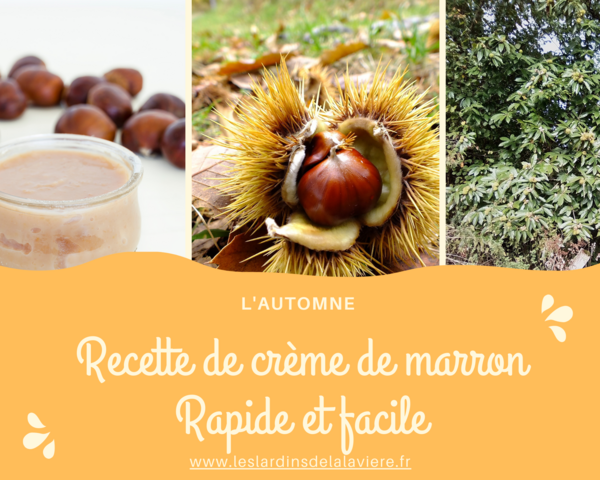 recette crème de marrons facile et rapide