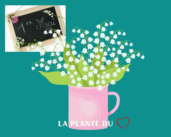 muguet 1er mai