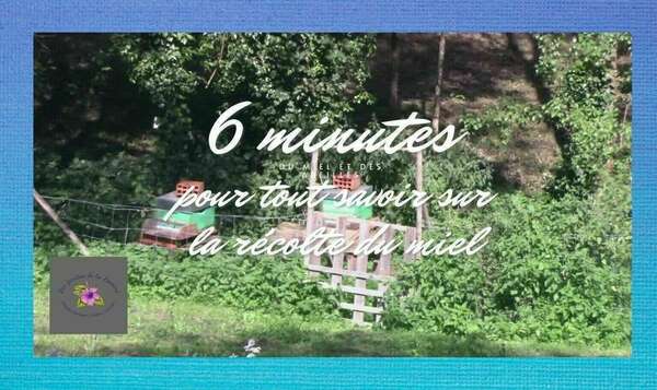 Récolte de miel