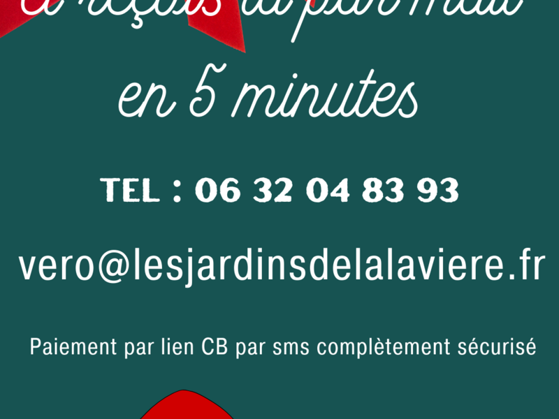 copie_de_copie_de_copie_de_copie_de_les_cartes_cadeaux_sont_disponibles_sur__story_instagram___6_