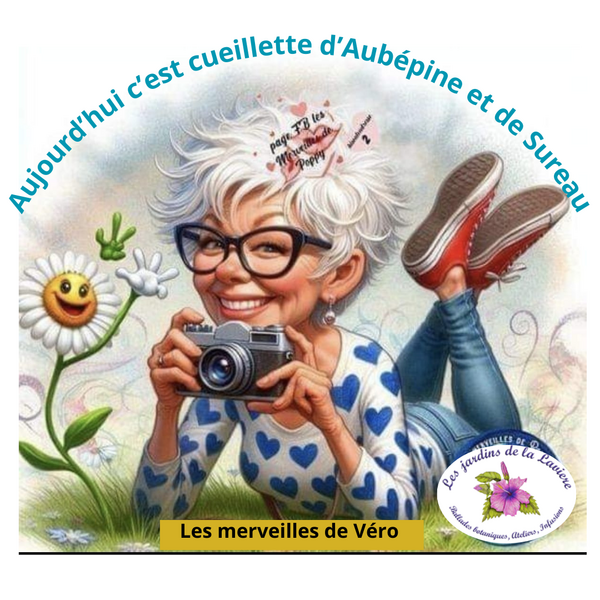 Cueillette d'aubépine et de sureau