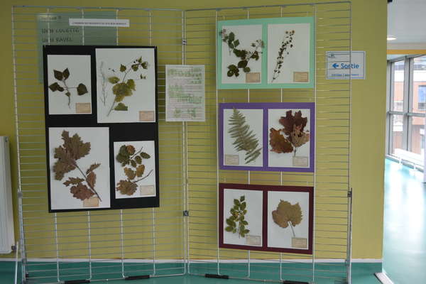 Ça va bouger en Mars !