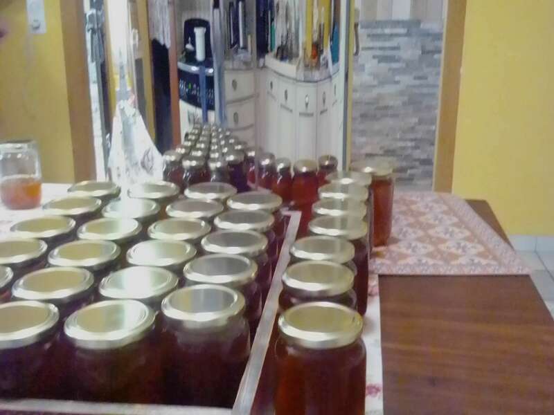 34kg pour une 1ère récolte de miel