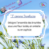 Une involucre