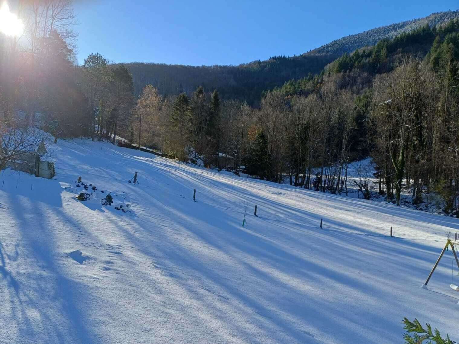Les Jardins de la Lavière sous la neige.
Il est temps de cueillir le Cynorrhodon