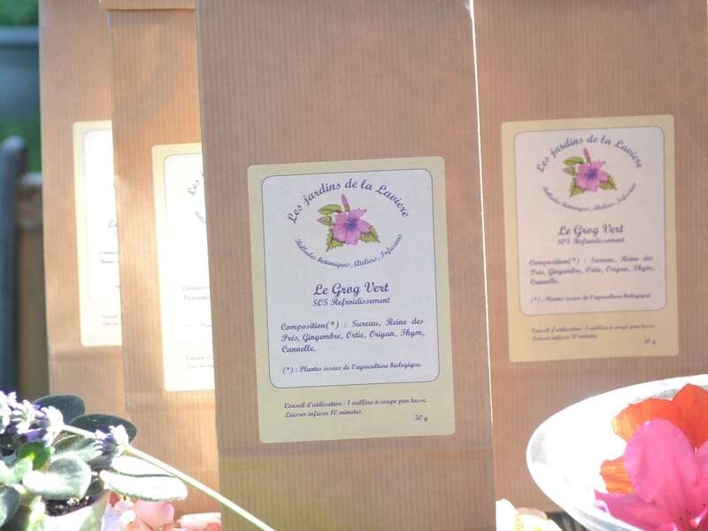 grogb_vert20250825-2928738-auhc5f20250825-2928738-erwr1b