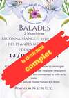 balades botaniques