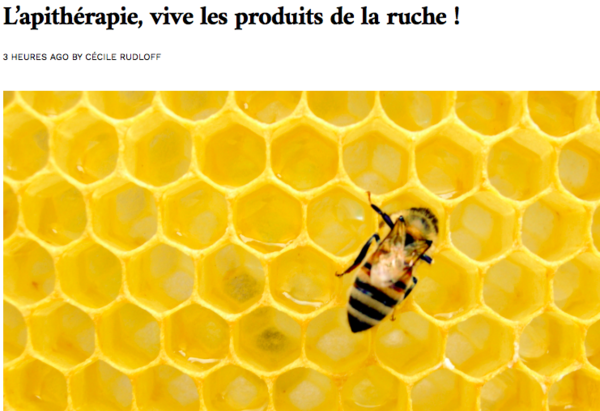 L’apithérapie, vive les produits de la ruche !