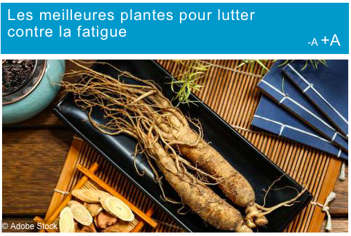 Les Meilleures Plantes pour Lutter contre la Fatigue