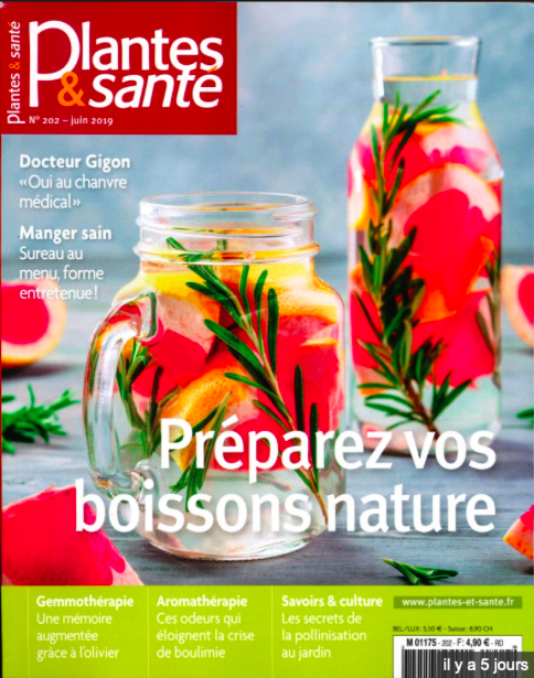 Préparez vos boissons nature avec nos délicieuses recettes