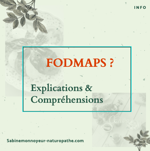 POINT SUR LES FODMAPS
