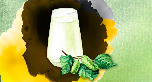 Photo de la sève de boulot illustrant l'article "la sève de bouleau, reine de la detox" de sabine monnoyeur, naturopathe sur lyon et paris 