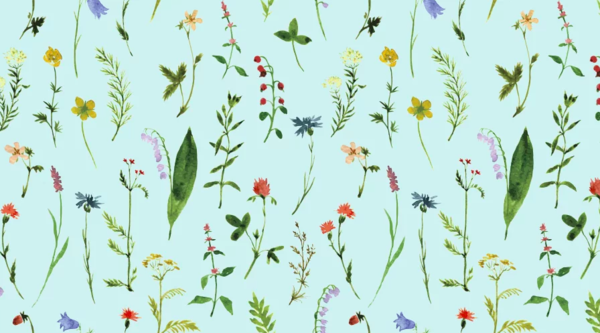 Illustration pour la naturopathie avec des plantes et fleurs