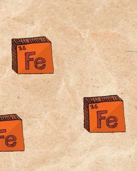 Illustration pour le fer