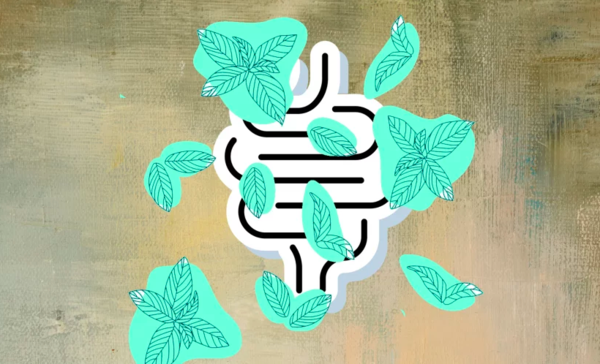 Illustration de plante et système digestif pour calmer les troubles digestifs naturellement