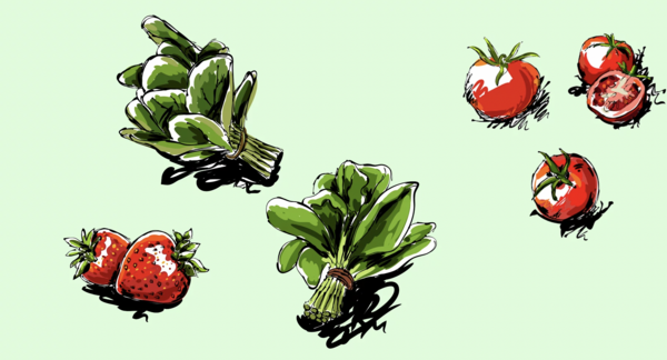 illustration d'antioxydants