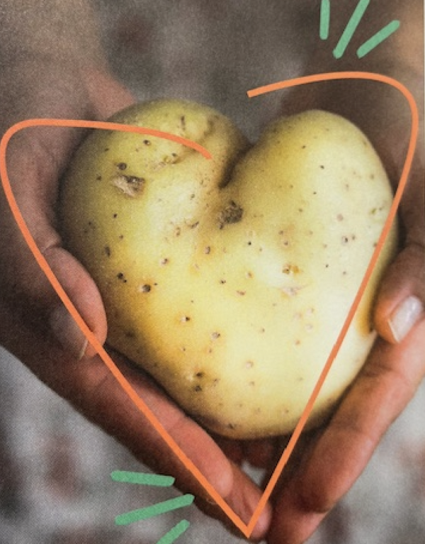 photo de pomme de terre