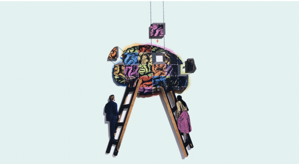 illustration cerveau