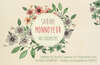 logo sabine monnoyeur naturopathe lyon et paris