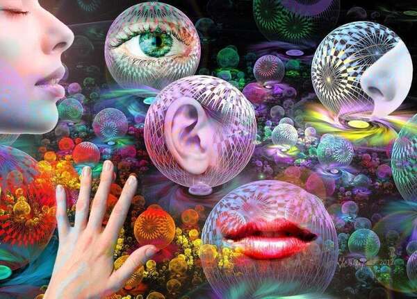 Formation - Techniques de communication : Être à l'aise dans ses échanges et Transformer ses relations