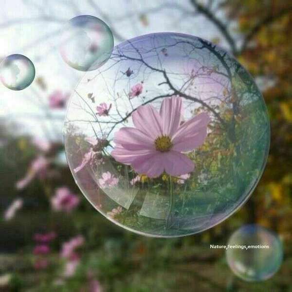 Atelier Auto Hypnose - Trouver, retrouver un mieux-être