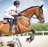 Fanny El Hagar - Les activités à risque pour les chevaux