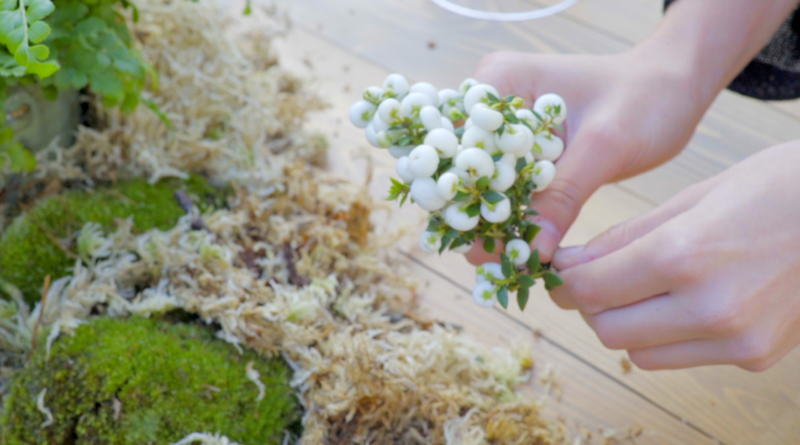 capture_d_e_cran_2019-11-29_a__09-19-29