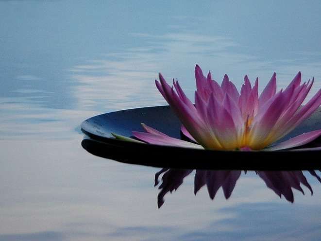 serenity-1851950_1280