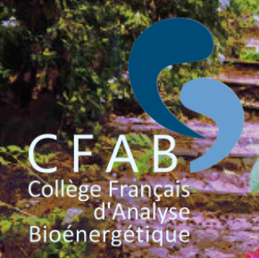 COLLÈGE FRANÇAIS D'ANALYSE BIOÉNERGÉTIQUE - CFAB